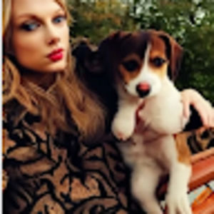 Meet your Posher, Faye